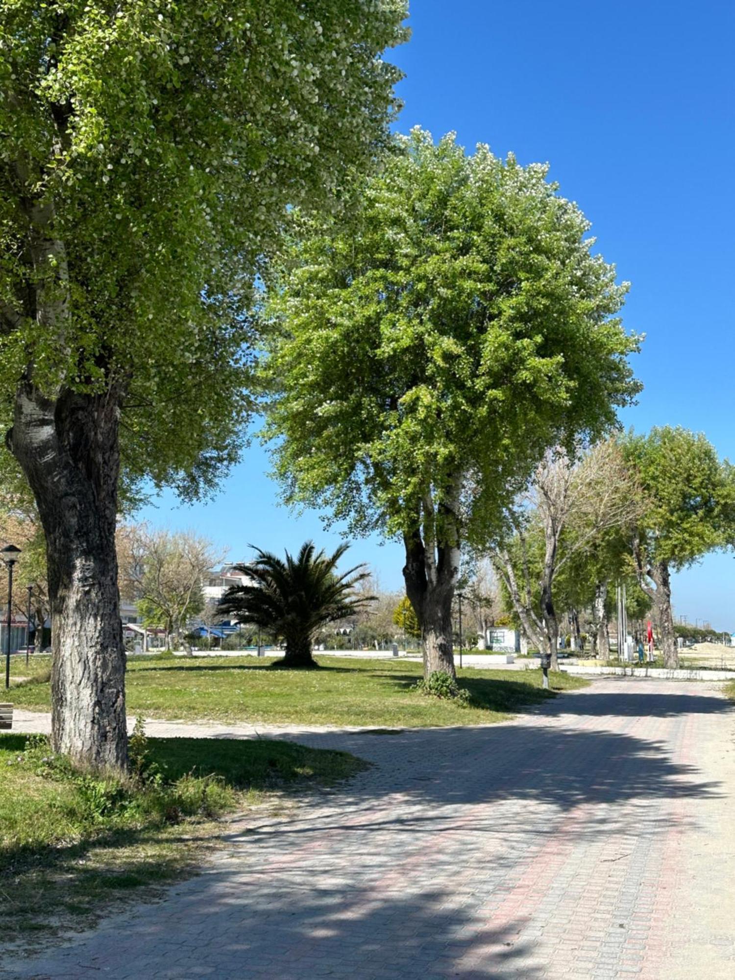 Olympic Beach Rooms Esterno foto